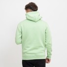 Champion Hooded Sweatshirt