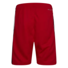 JORDAN AIR JORDAN HBR BBALL SHORT