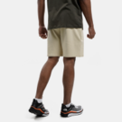 The North Face Men’s Graphic Short Light-Eu