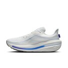 Nike Winflo 12