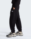 THE NORTH FACE W EVO SD REG PANT