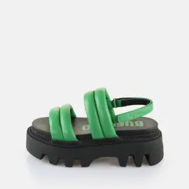 Buffalo Flora Ts Quilt