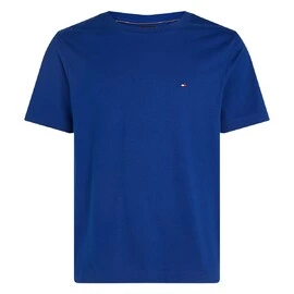 Tommy Hilfiger ESS Seasonal Reg Fit Solid Tee