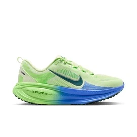 Nike Vomero 18 Run Shoes